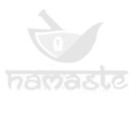Namaste Logo 2